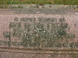 image of grave number 230699